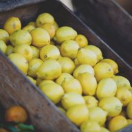 Try our lemons from Corse or Sicily.