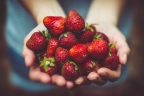 Fresh, organic, only  during the strawberries season.
