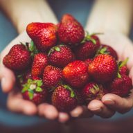 Fresh, organic, only  during the strawberries season.